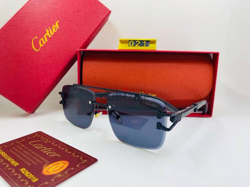 Rayban,Cartier,Hugo boss sunglasses 5