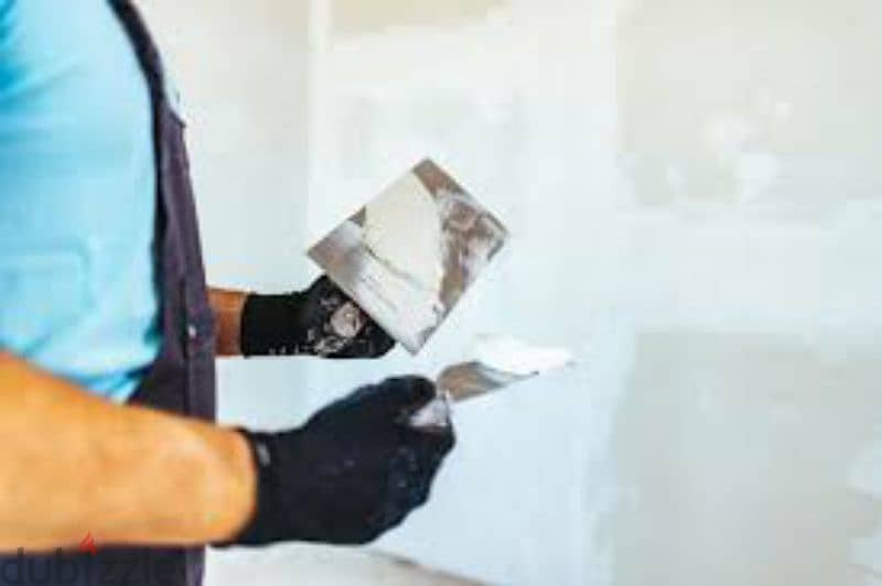 we do all type of painting work ,interior designing and gypsum board 6