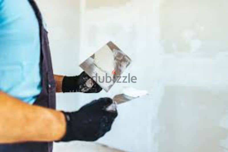 we do all type of painting work ,interior designing and gypsum board 4