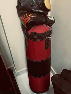 punching bag with boxing gloves