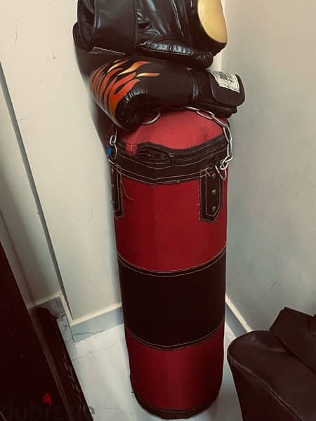 punching bag with boxing gloves 0