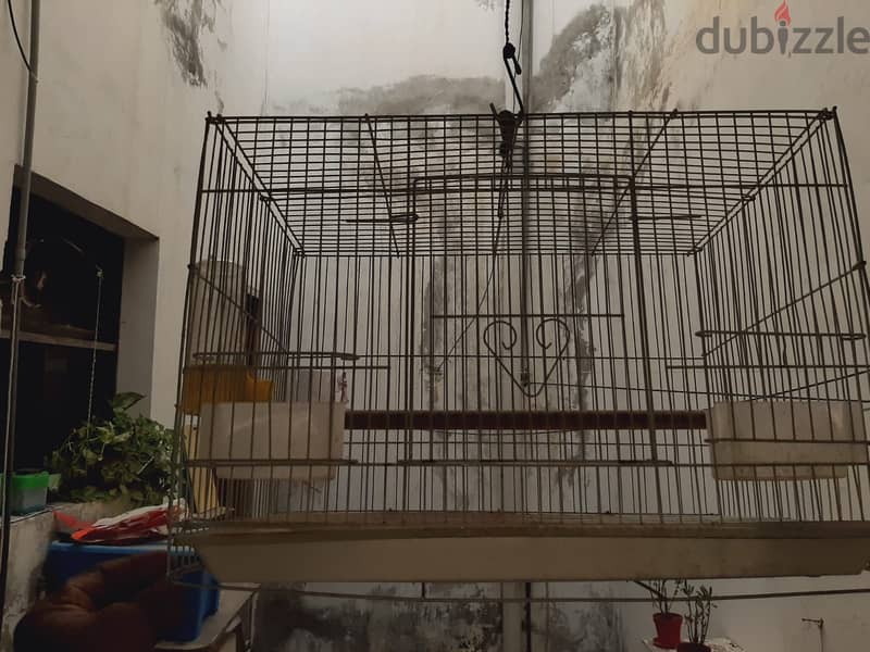 Bird cage is made of high-quality metal. 2