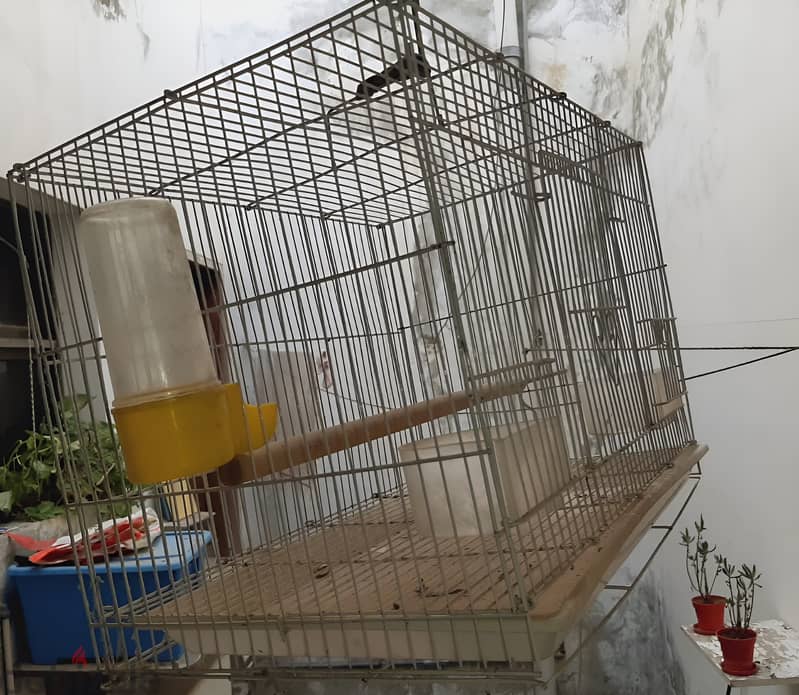 Bird cage is made of high-quality metal. 1