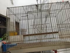 Bird cage is made of high-quality metal. 0