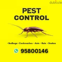 Muscat Pest Control and House Cleaning services available