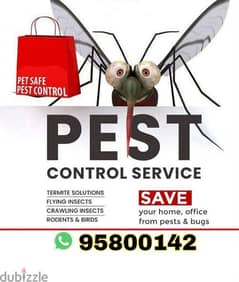 General Pest Control services Bedbugs Insect Cockroaches Ants Rats 0