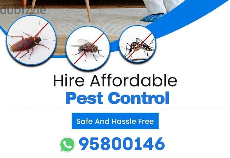 Pest Control services available for insects Cockroaches Ants Rats 0