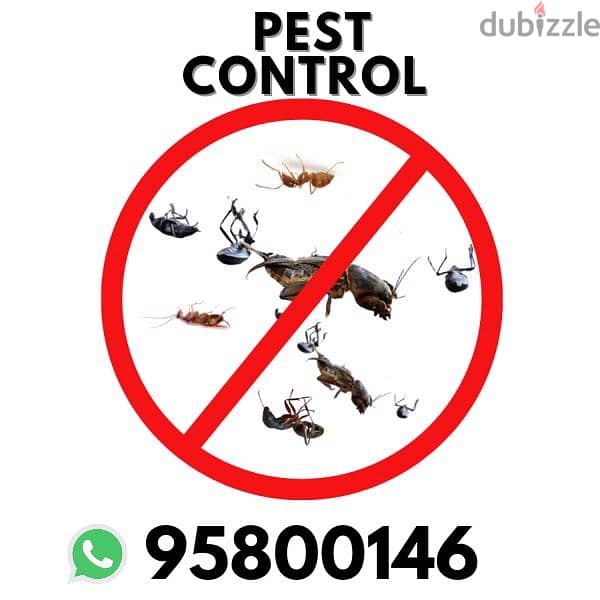 Pest Control services all over Muscat, Bedbugs Treatment available 0