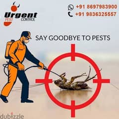Top Pest Control services in Muscat,Pest Medicine available