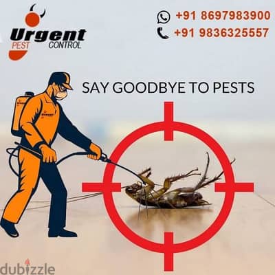 Top Pest Control services in Muscat,Pest Medicine available