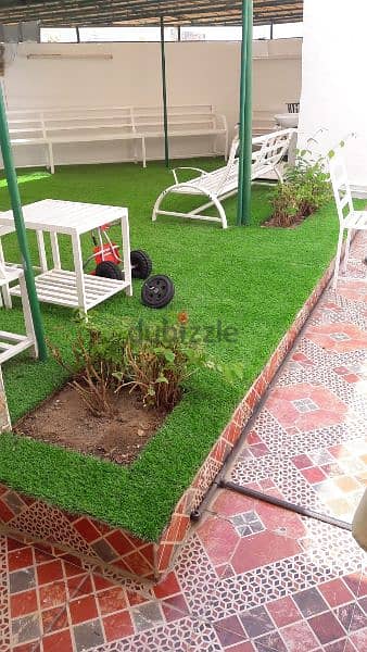 Artificial Grass 4