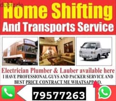 Mover carpenter house  shiffting  TV curtains furniture fixing 0