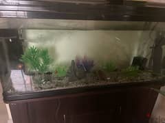 Fish tank with table for Sale 0