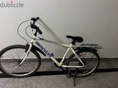 bicycle for adults and kids