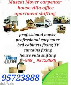 Professional moving services house villa shiffting best carpenter 0