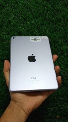 iPad Mini 4 32GB Storage 0