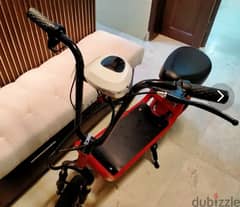 Electric scooter ( SOLD OUT ) 0