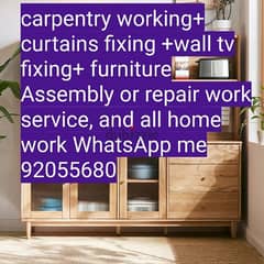 carpenter/electrician/plumber