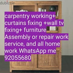 carpenter/electrician/plumber