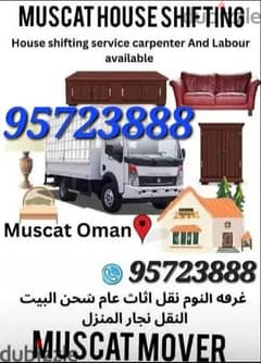 Professional moving services house villa shiffting best carpenter 0