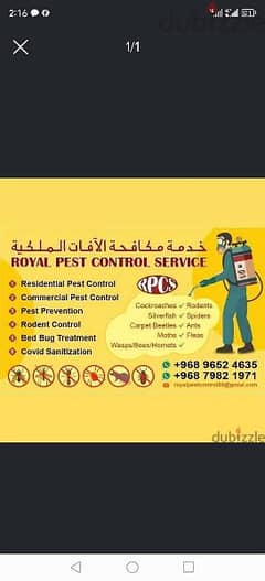 Real pest control service 0