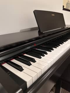 Yamaha Digital Pianos Arius- Dark Rosewood 0