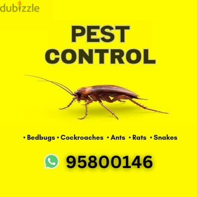 Pest Control work available, Cockroaches, Ants Rats, Bedbugs