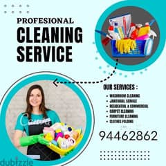 professional cleaner