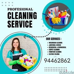 professional cleaner