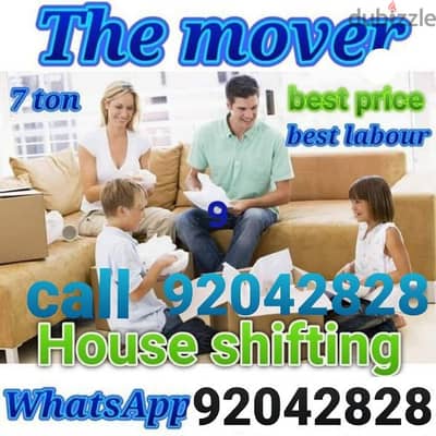 professional movers and packers house shifting villa shifting