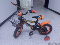 Bicycle for 4 to 6 kids