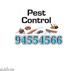Quality Pest Control Service