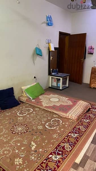 Executive bachelors furnished shared room is available 2