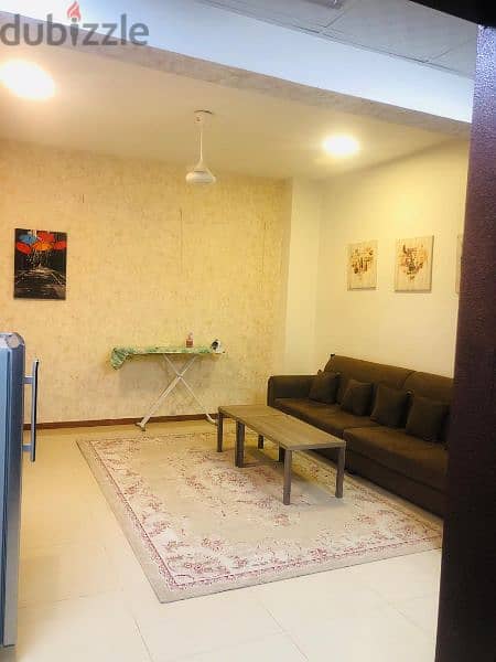fully furnished apartment for rent 0