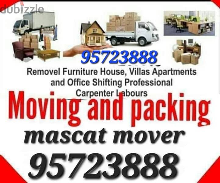 Professional moving services house villa shiffting best carpenter 0
