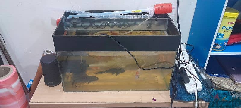Fish tank 0