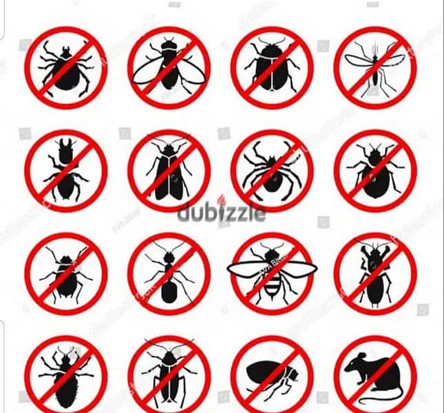 pest control services 2