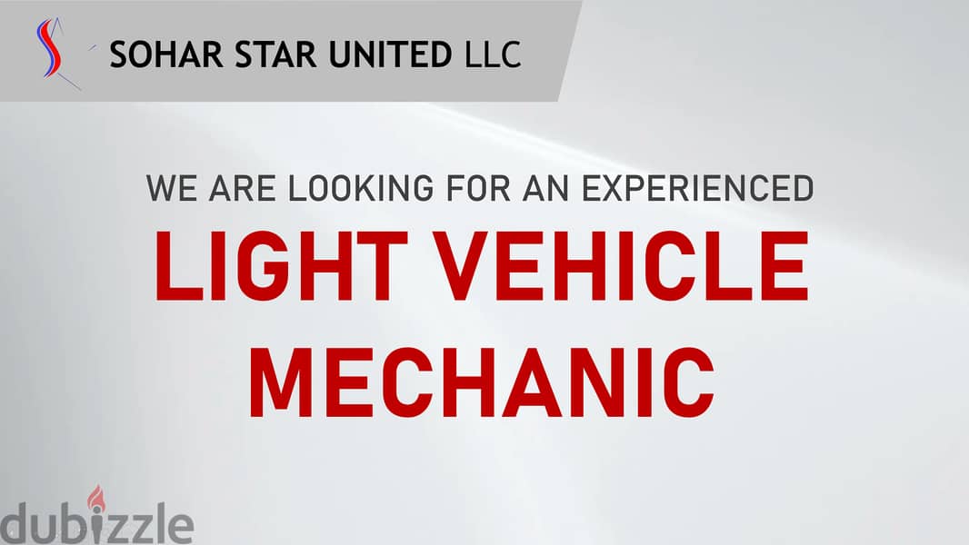 Looking for a Light Vehicle Mechanic 0