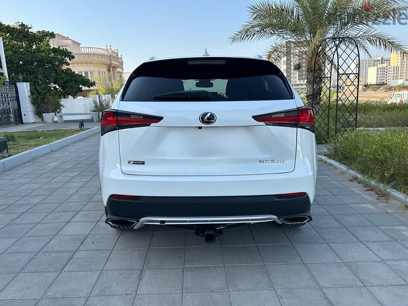 Lexus NX 300 2019 4