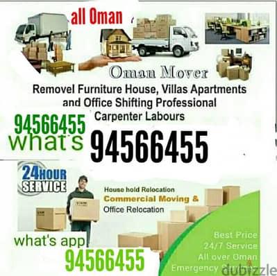 professional movers and packers house villa office store shifting