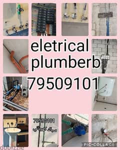 plumber and eletrical work I do good service