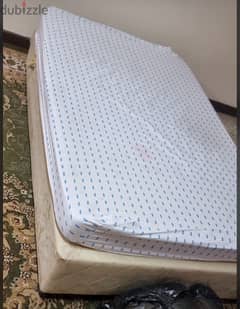 Queen Size bed with Medicated Mattress