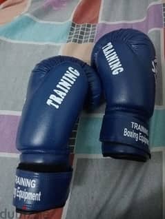 BOXING GLOVES 0