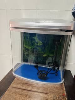 Fish tank with motor in great condition