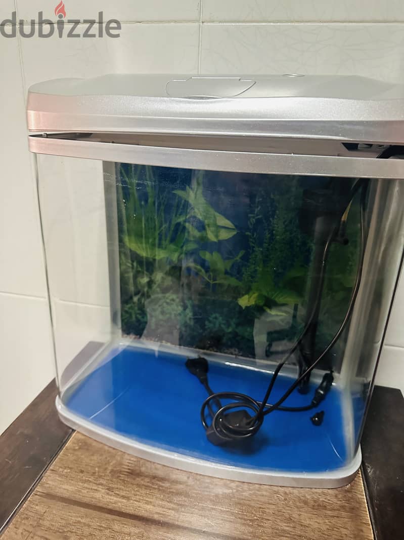 Fish tank with motor in great condition 1