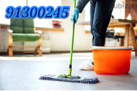 house village flat apartment kitchen and office cleaning services