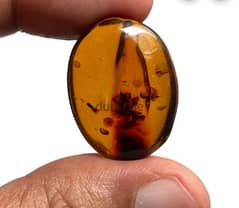 حجر كهرمان بولندي طبيعي natural amber stone 0