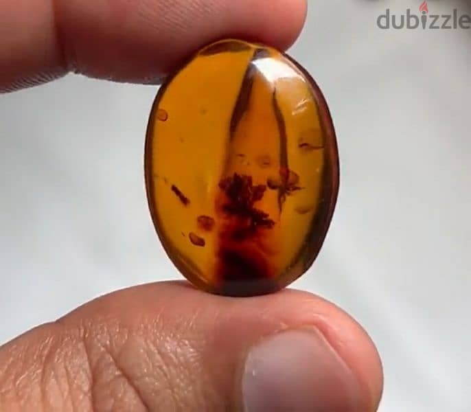 حجر كهرمان بولندي طبيعي natural amber stone 1
