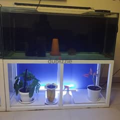 aquarium with iron stand, dophin light and canister filter 0