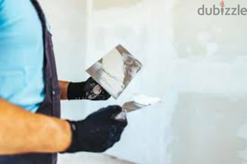 we do all type of painting work ,interior designing and gypsum board 7